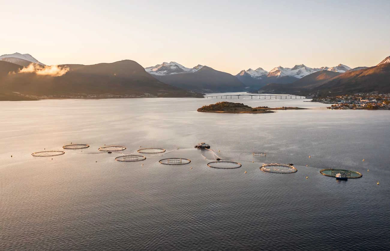 aquaculture fish farm drone aerial photo