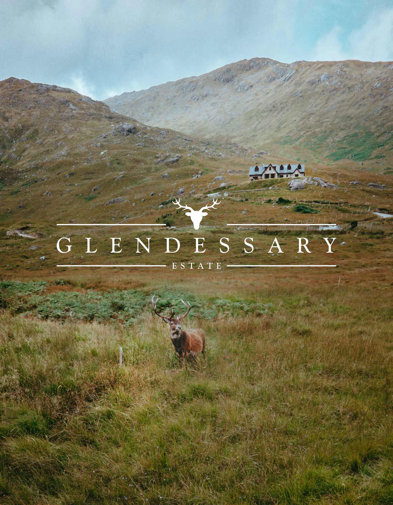 a stag stood on a shoot lodge in the scottish highlands