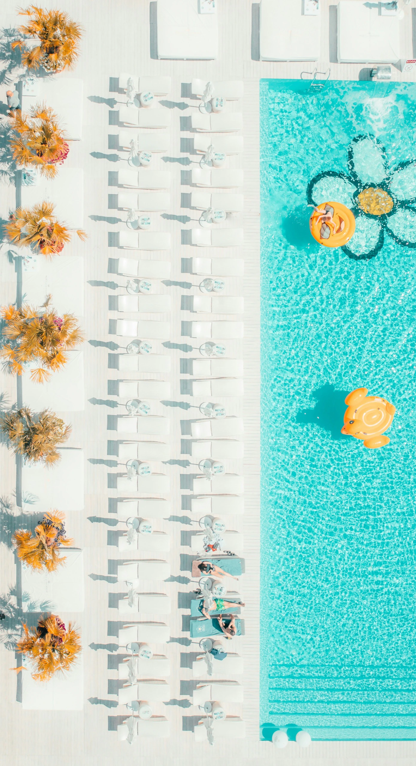 Overhead view of resort poolside loungers and palm trees